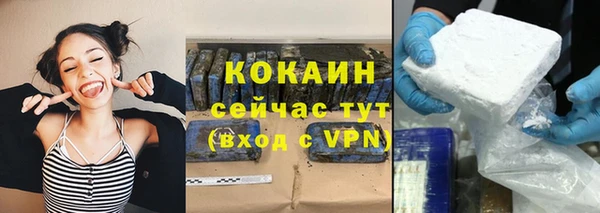 сатива Заволжье