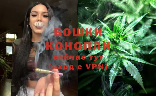 ПСИЛОЦИБИНОВЫЕ ГРИБЫ Кострома