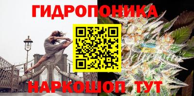 бошки Когалым