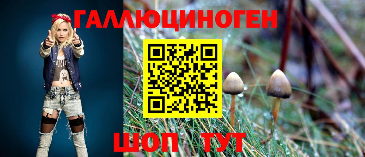даркнет сайт  Вход с VPN  Россия  Галлюциногенные грибы Psilocybine cubensis 